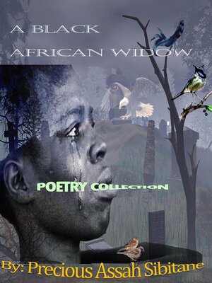 cover image of A Black African Widow